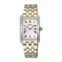 Watch Seiko Woman Classic Modern in Steel SWR087P1
